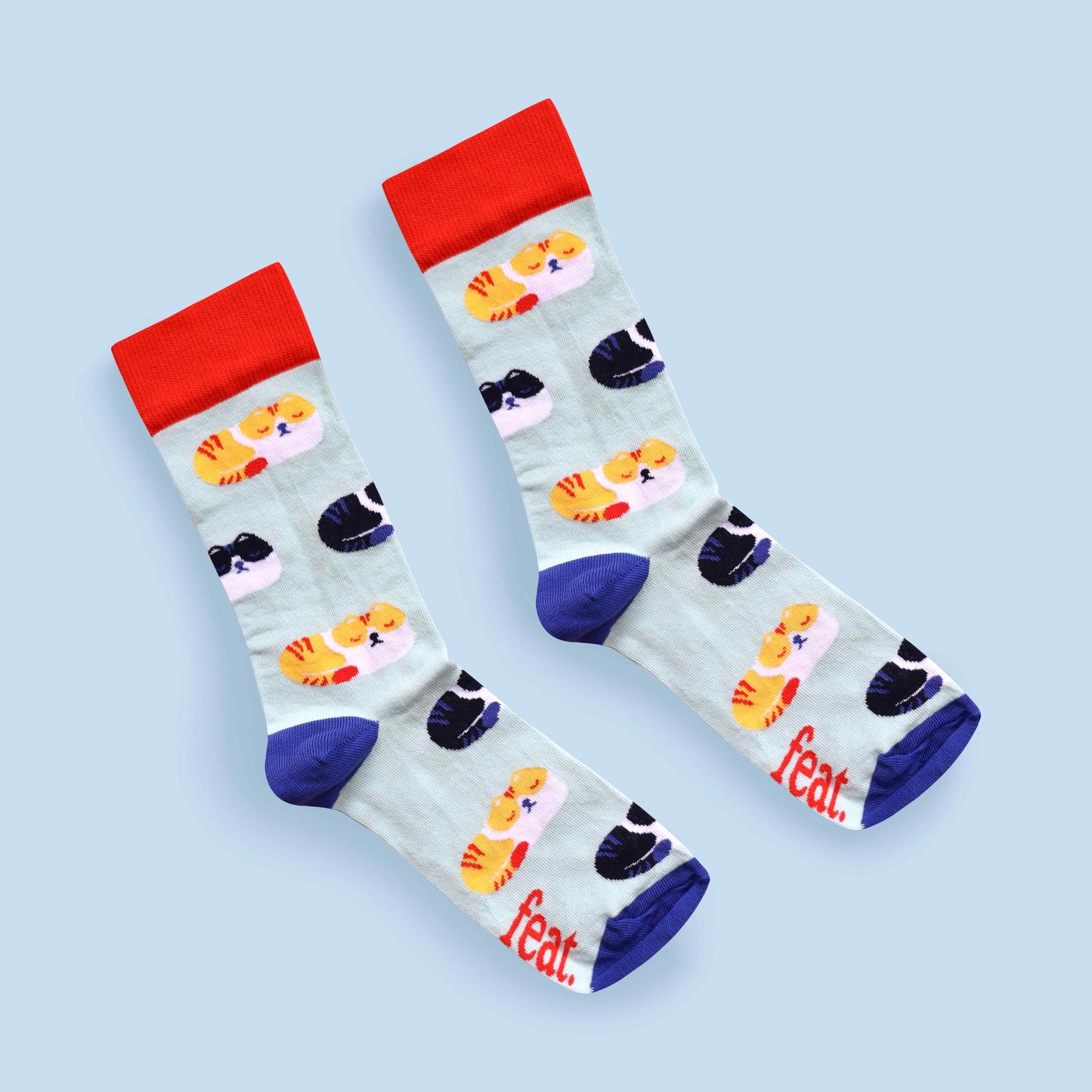 Grumpy cat socks blue background diagonal