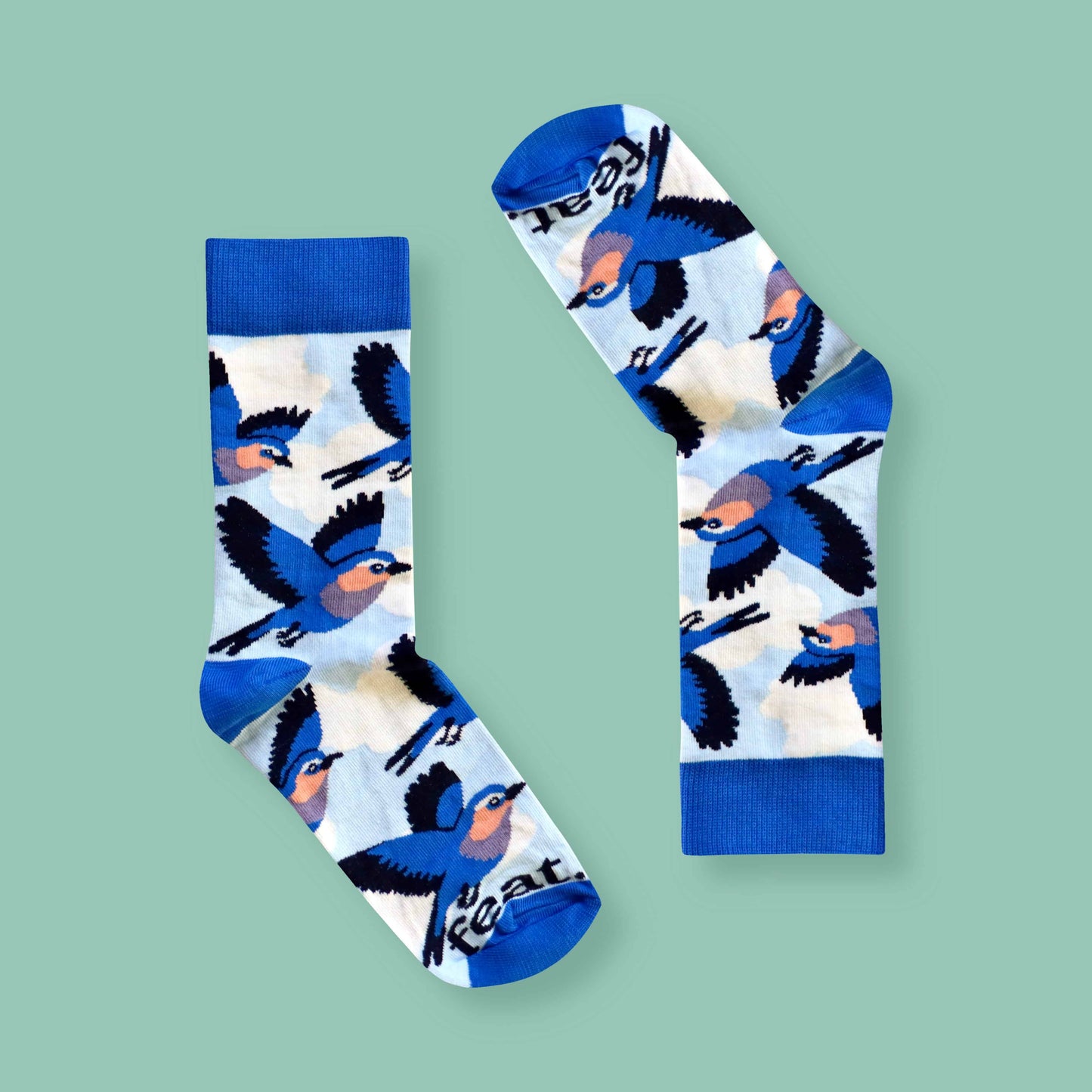 Men’s Lilac Breasted Roller socks | Bird Life of South Africa