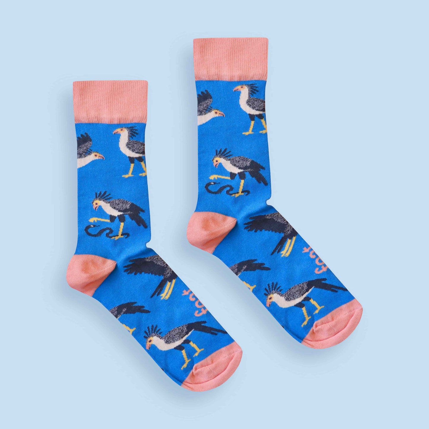 Secretary bird socks blue background centered