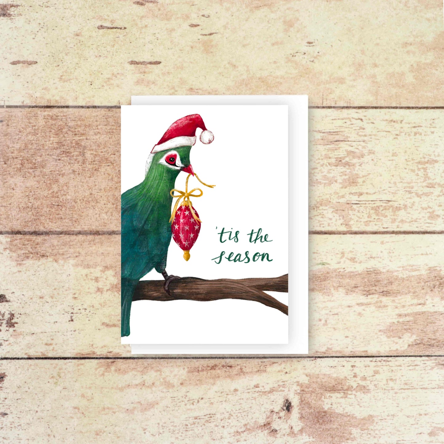Tis the season Knysna Loerie greeting card