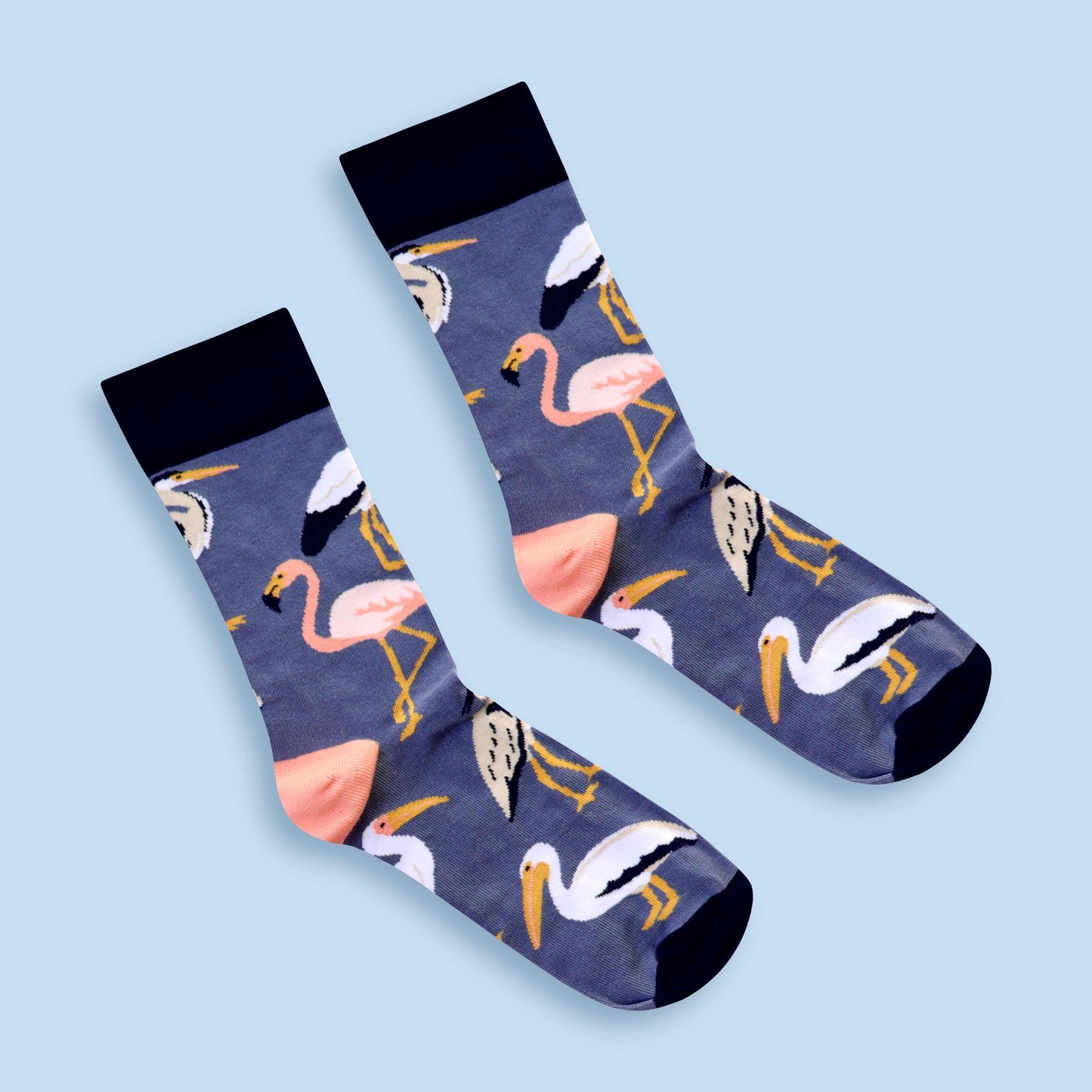 South African wetlands birds socks