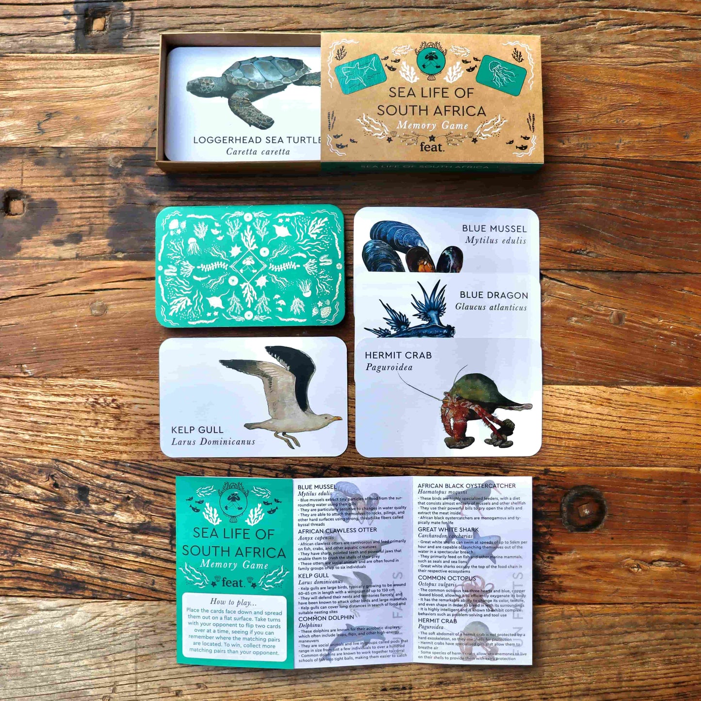 Sea life of South Africa Memory Game