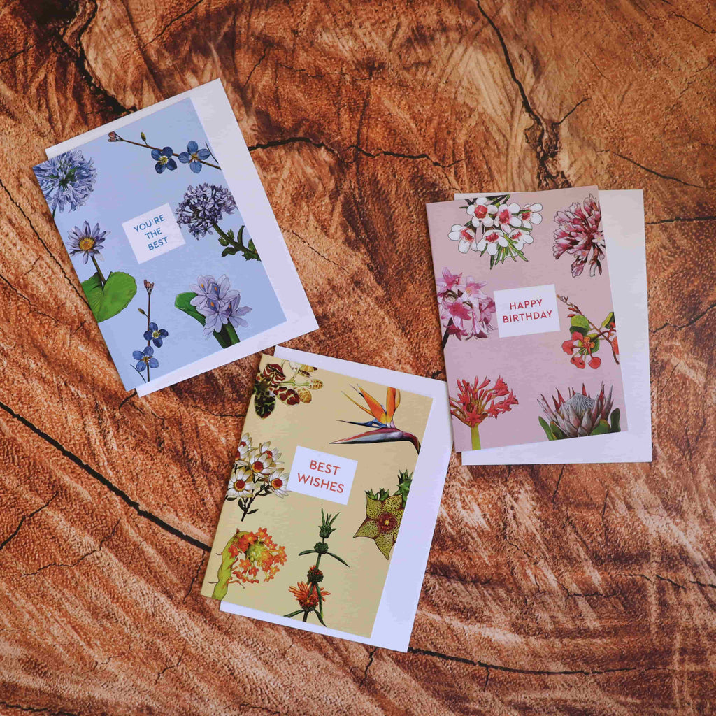 Pastel Floral Series Greeting Card Set
