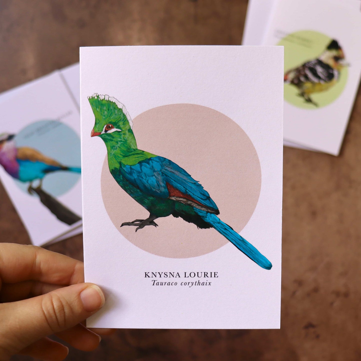 Knysna Lourie Greeting Card