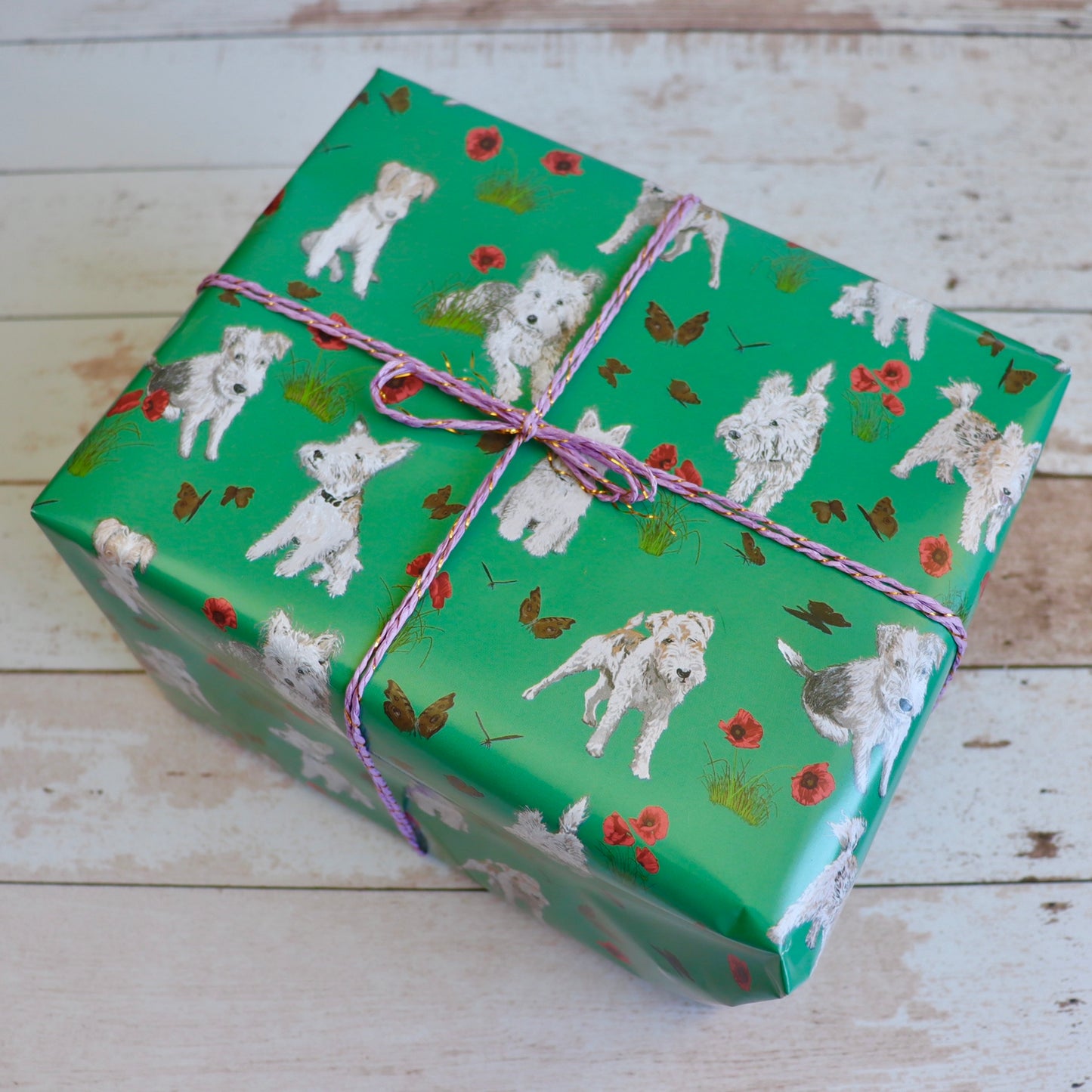 Teddie & Poppies Gift Wrapping