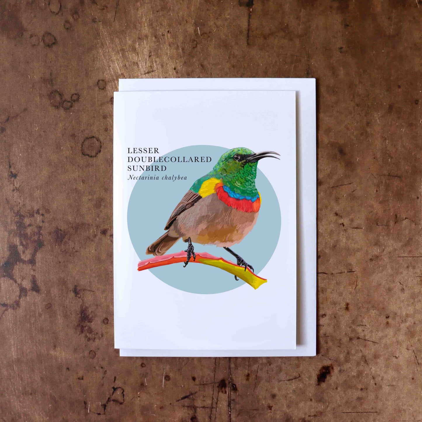 Sunbird Greeting Card