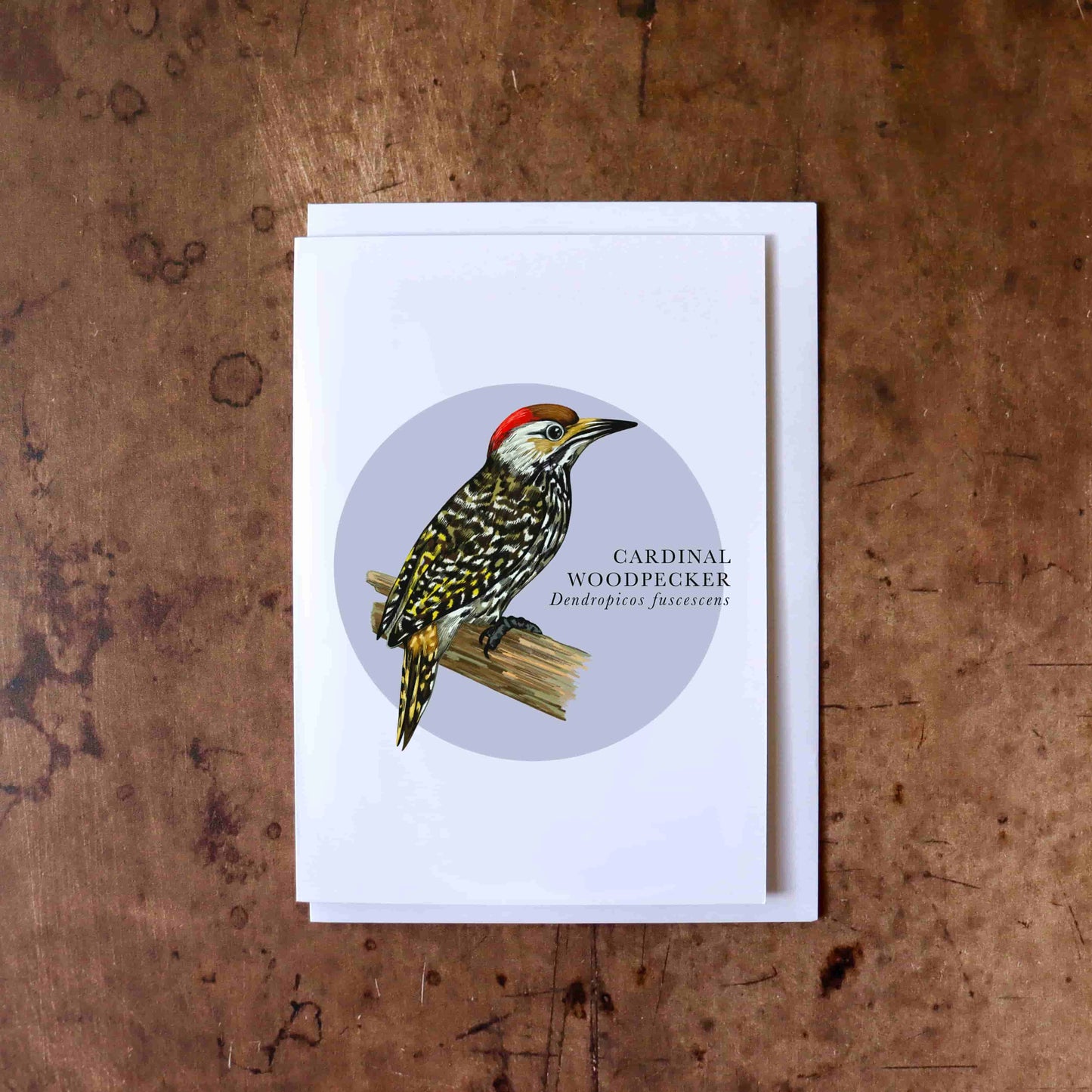 Woodpecker Greeting Card