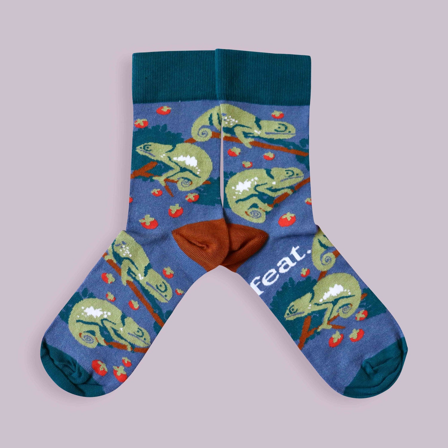 Reptiles and Amphibians | Designer socks made in South Africa