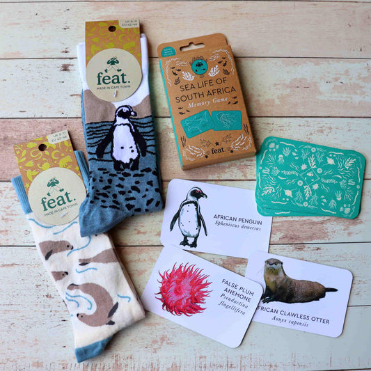 Sea Life of South Africa Socks and memory game combo