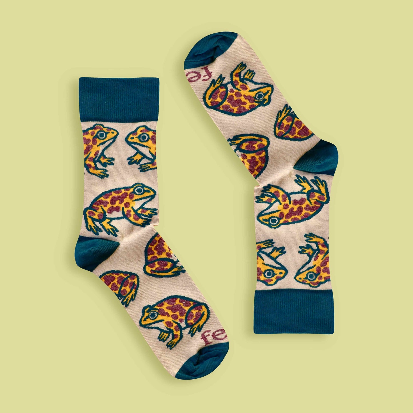 Cape leopard toad socks on lime background
