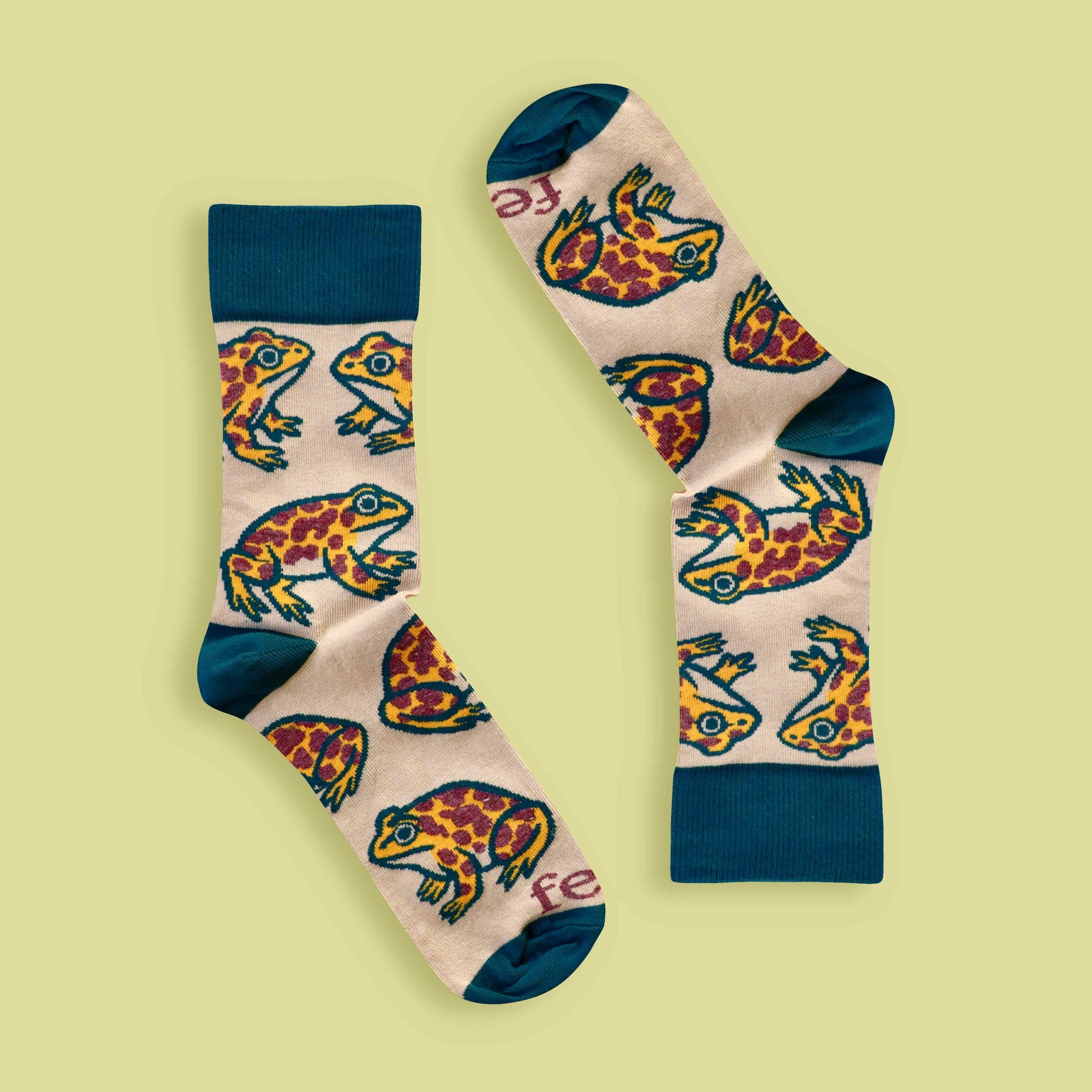 Cape leopard toad socks on lime background