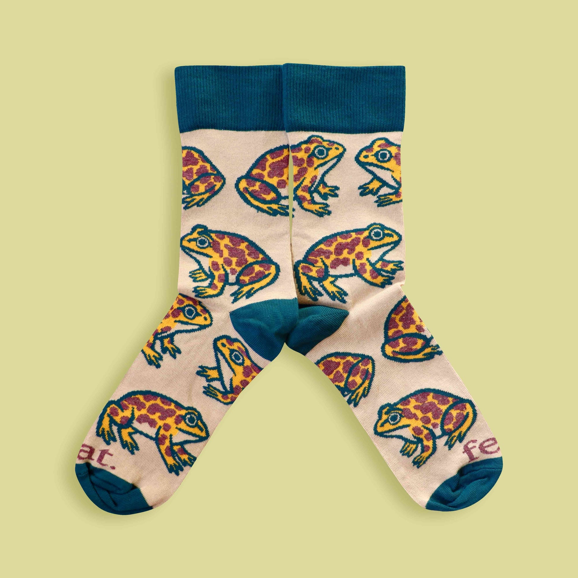 Cape leopard toad socks on lime background