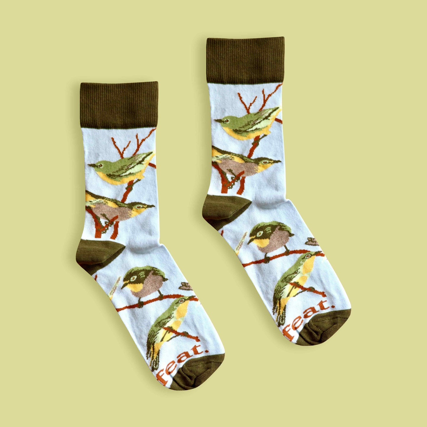 Cape white-eye socks lime background centered
