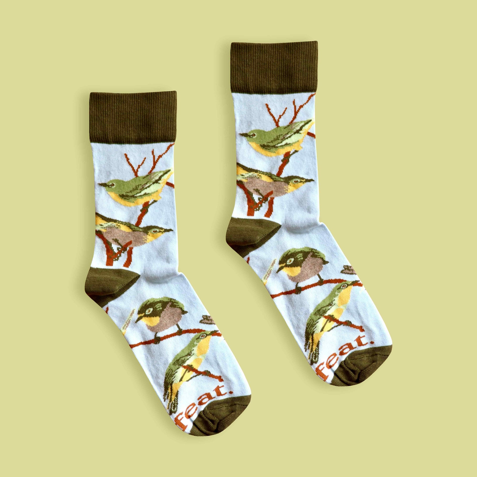 Cape white-eye socks lime background centered