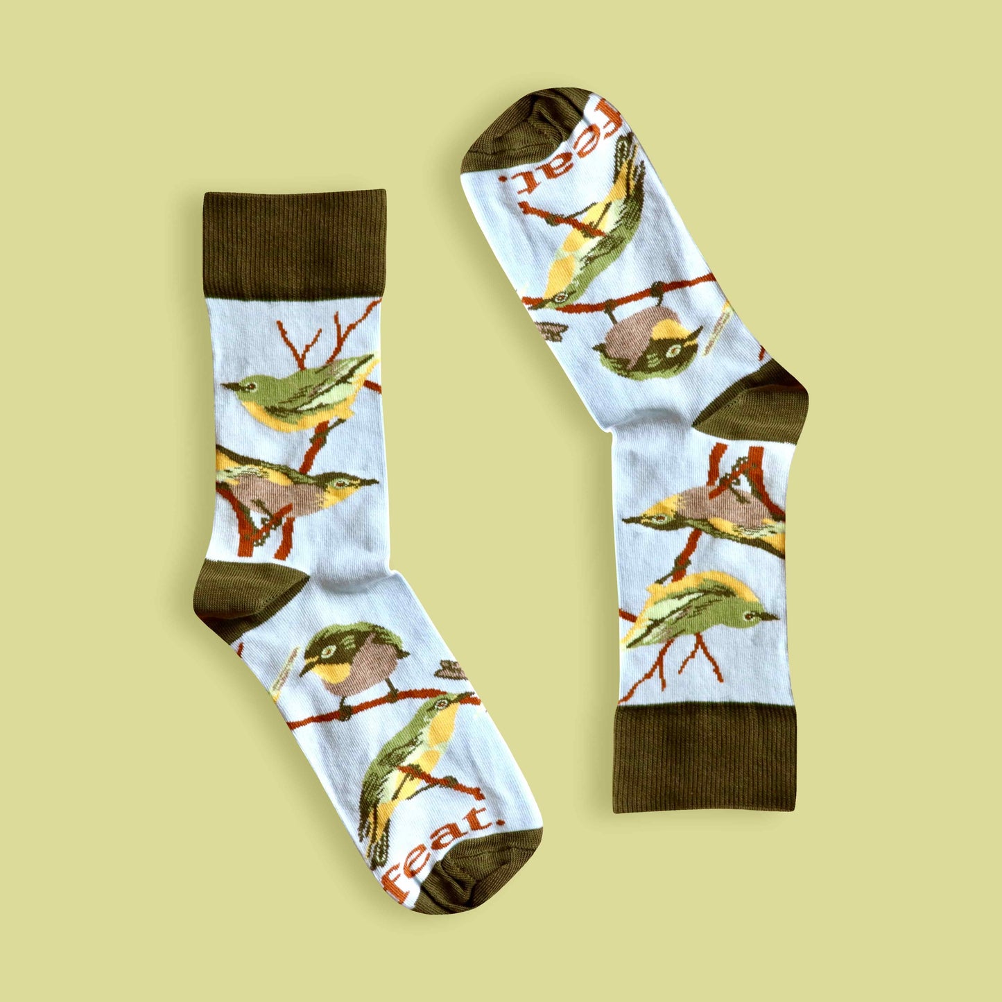 Cape white-eye socks lime background inverted