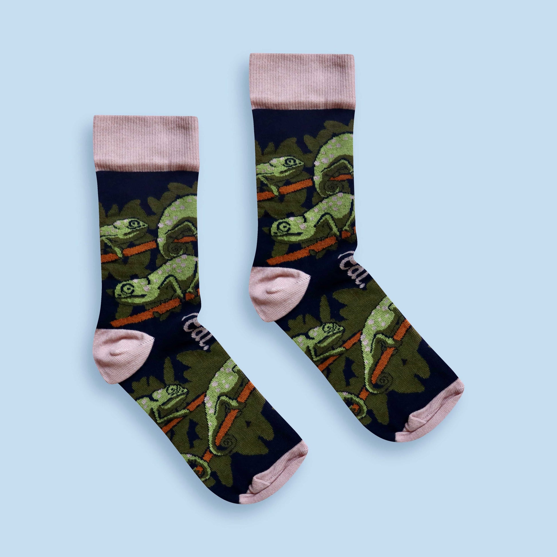 Flap-necked chameleon socks blue background centered