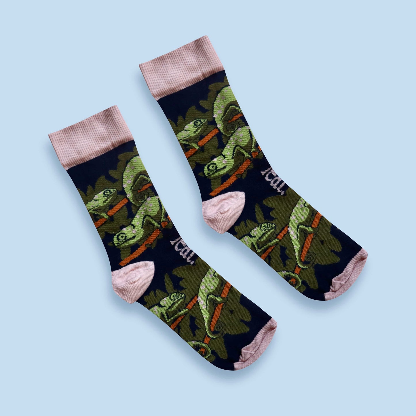 Flap-necked chameleon socks blue background diagonal