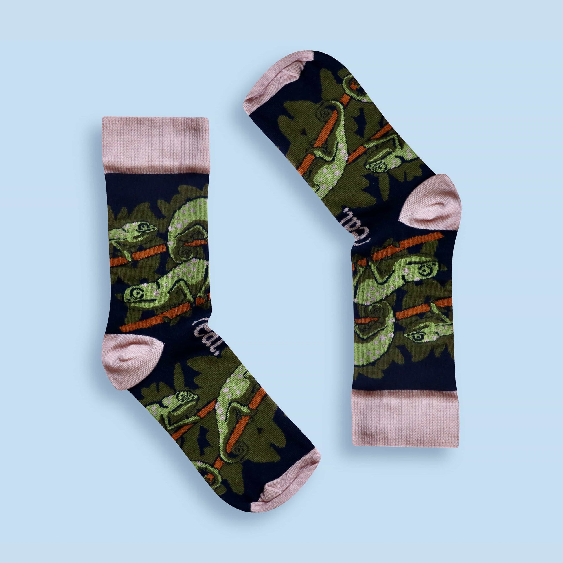 Flap-necked chameleon socks blue background inverted