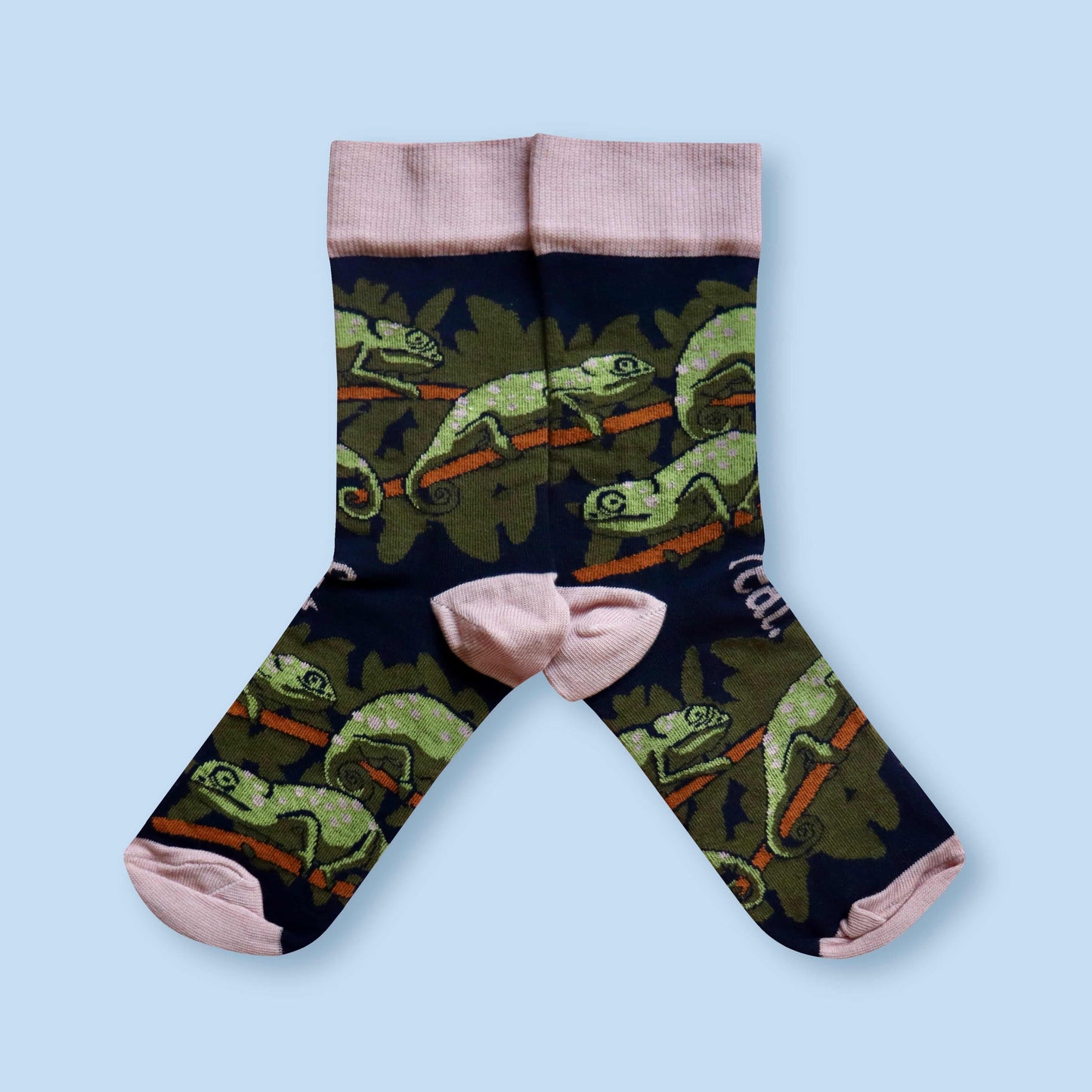 Flap-necked chameleon socks blue background mirrored