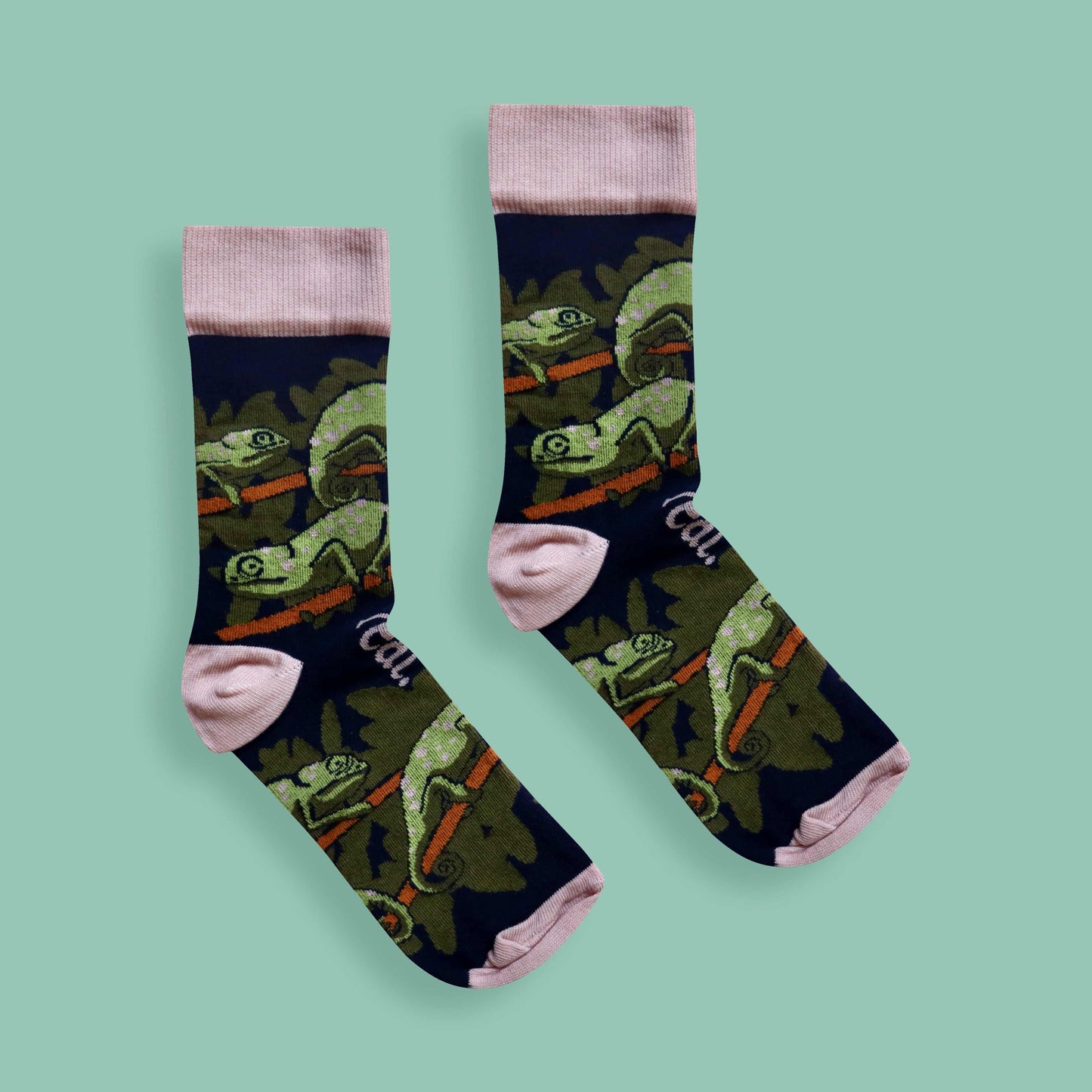 Flap-necked chameleon socks green background centered