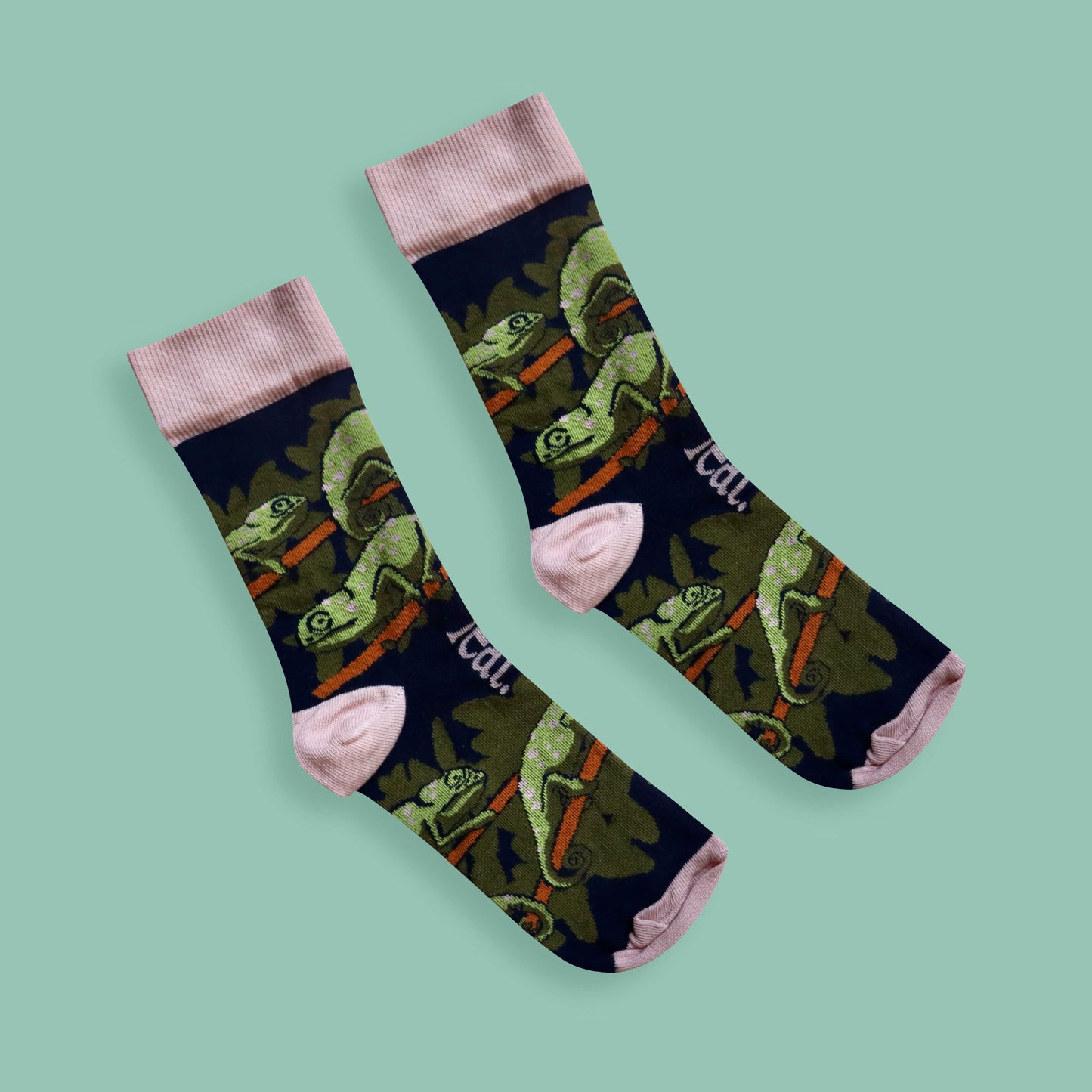 Flap-necked chameleon socks green background diagonal