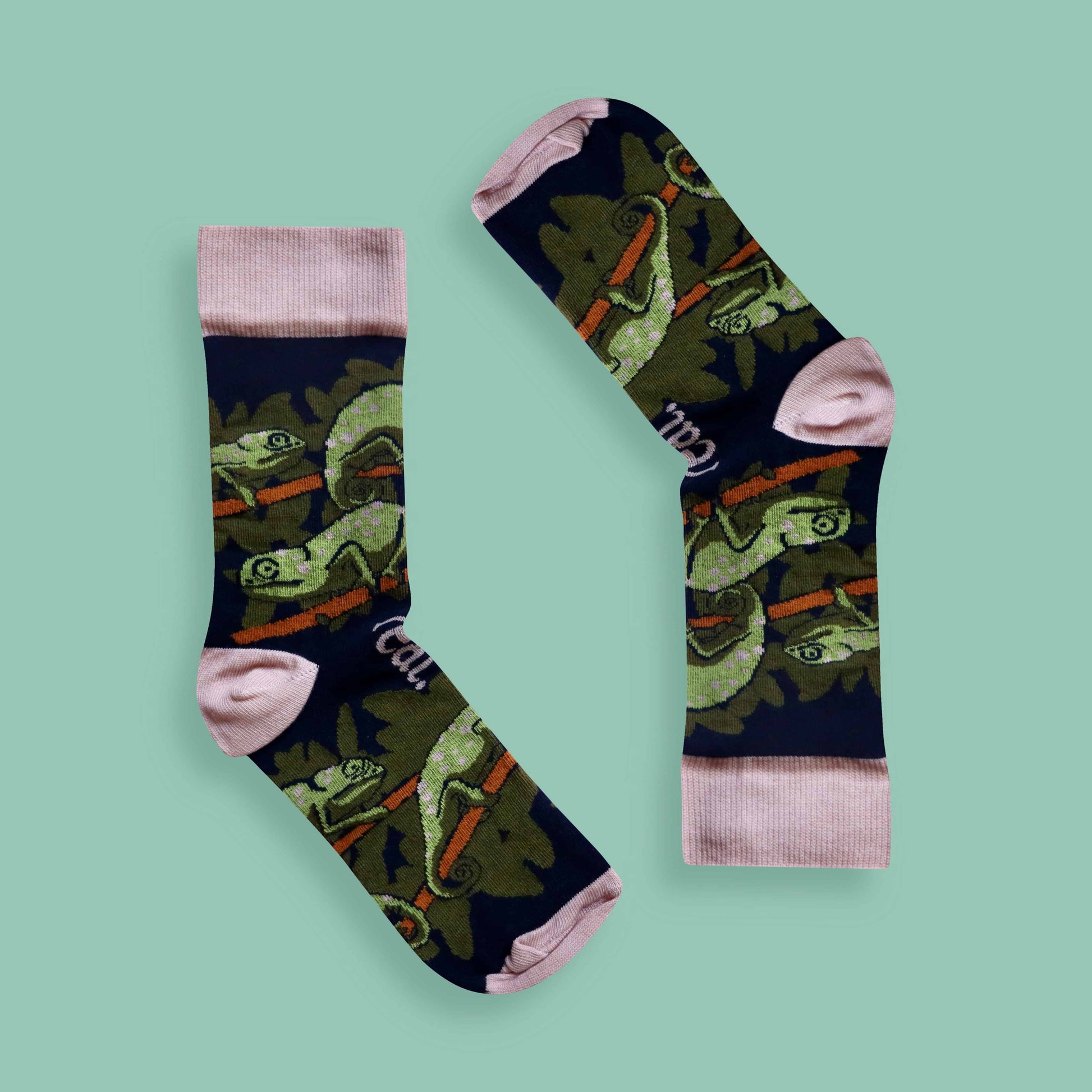 Flap-necked chameleon socks green background inverted