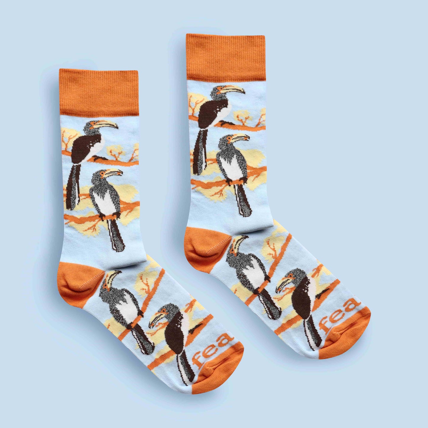 Hornbill socks blue background centered