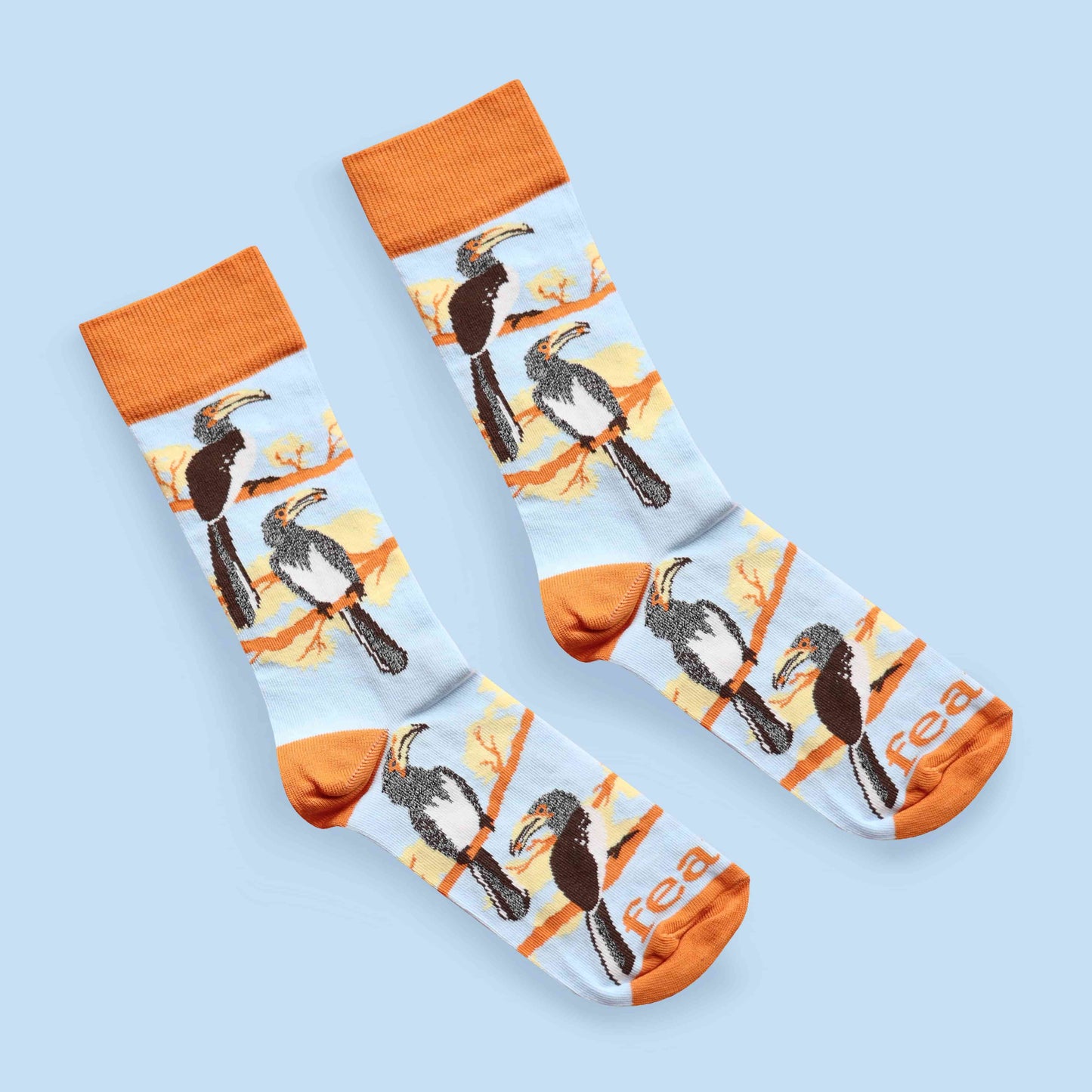 Hornbill socks blue background diagonal