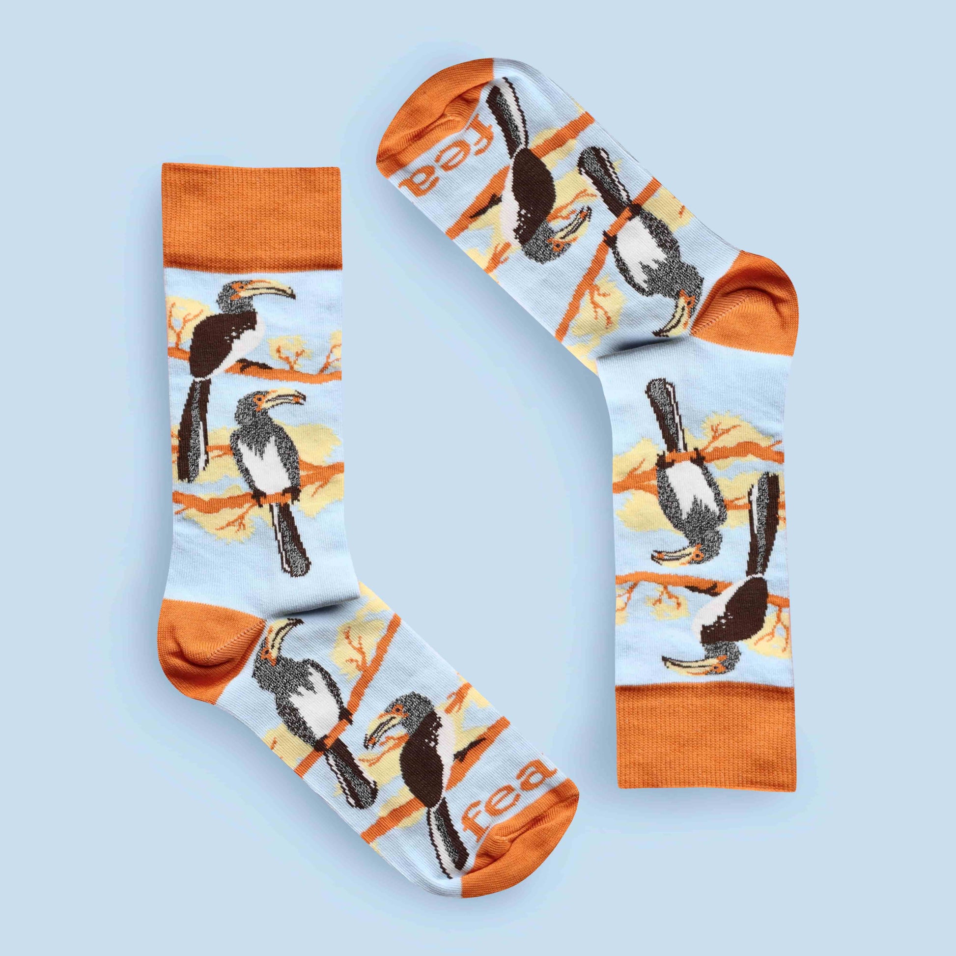 Hornbill socks blue background inverted