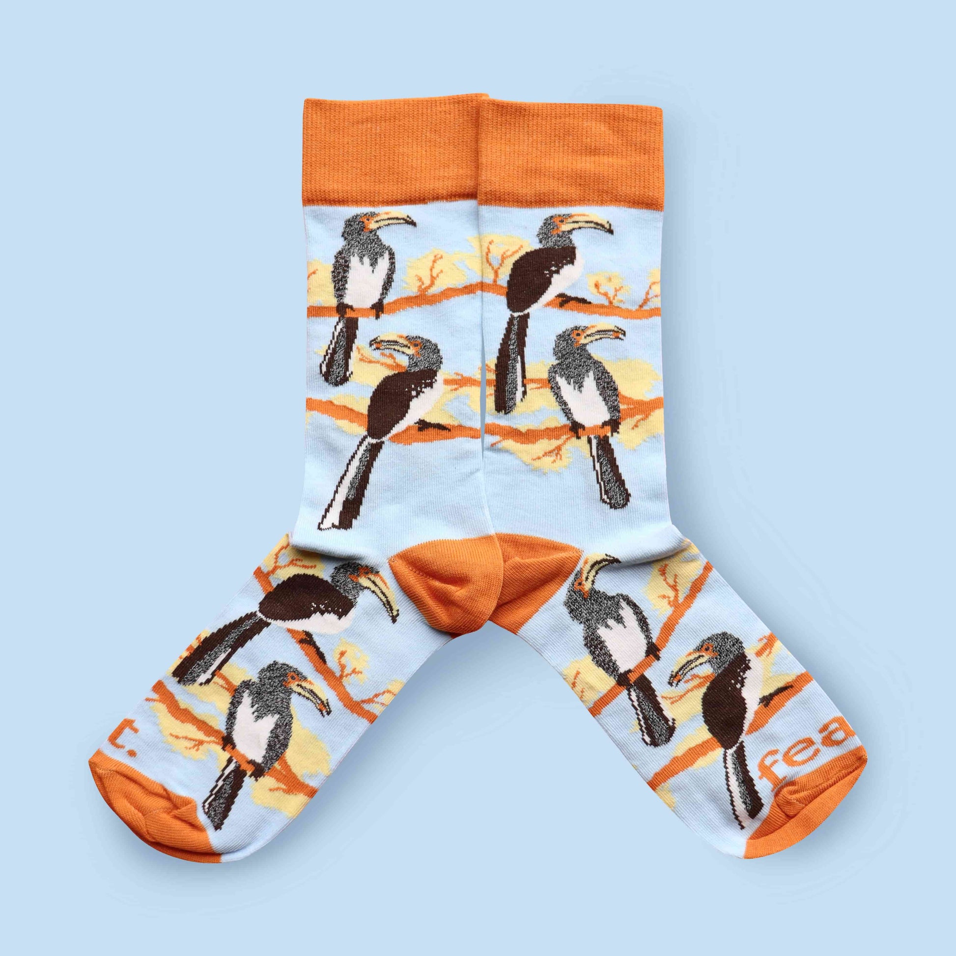 Hornbill socks blue background mirrored