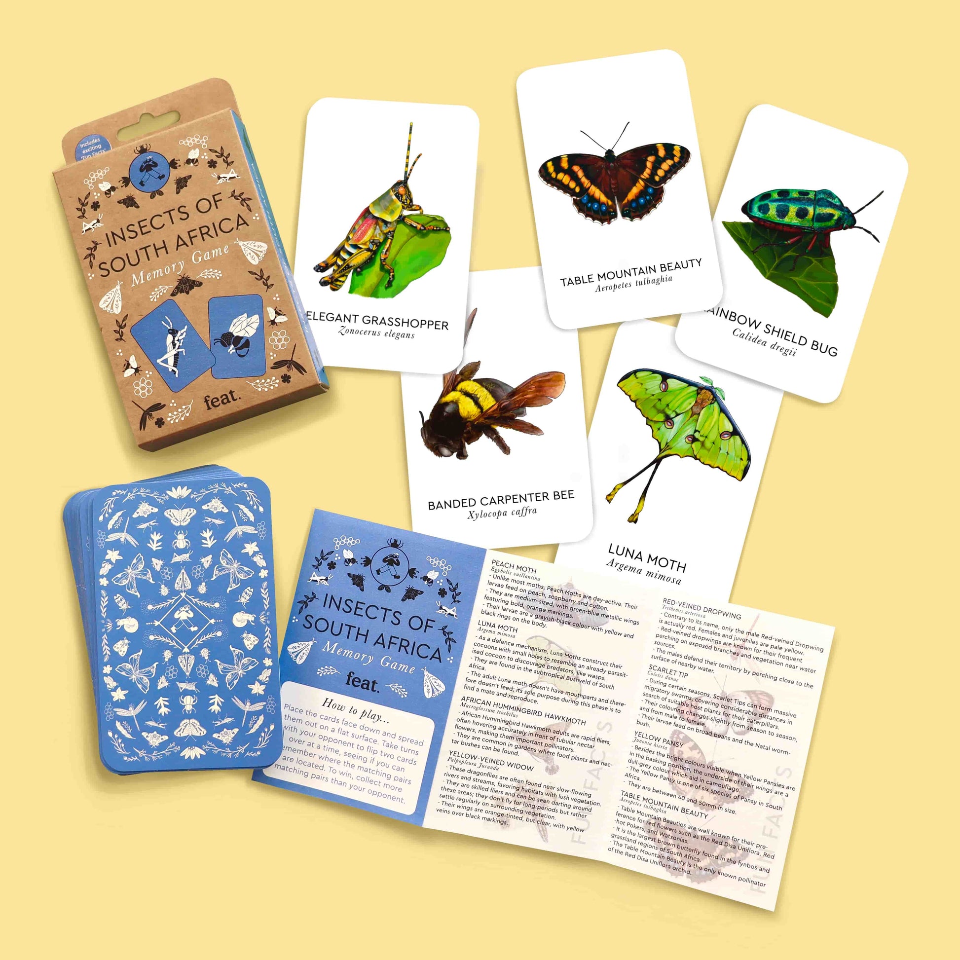 Insects of South Africa Memory Game in yellow background