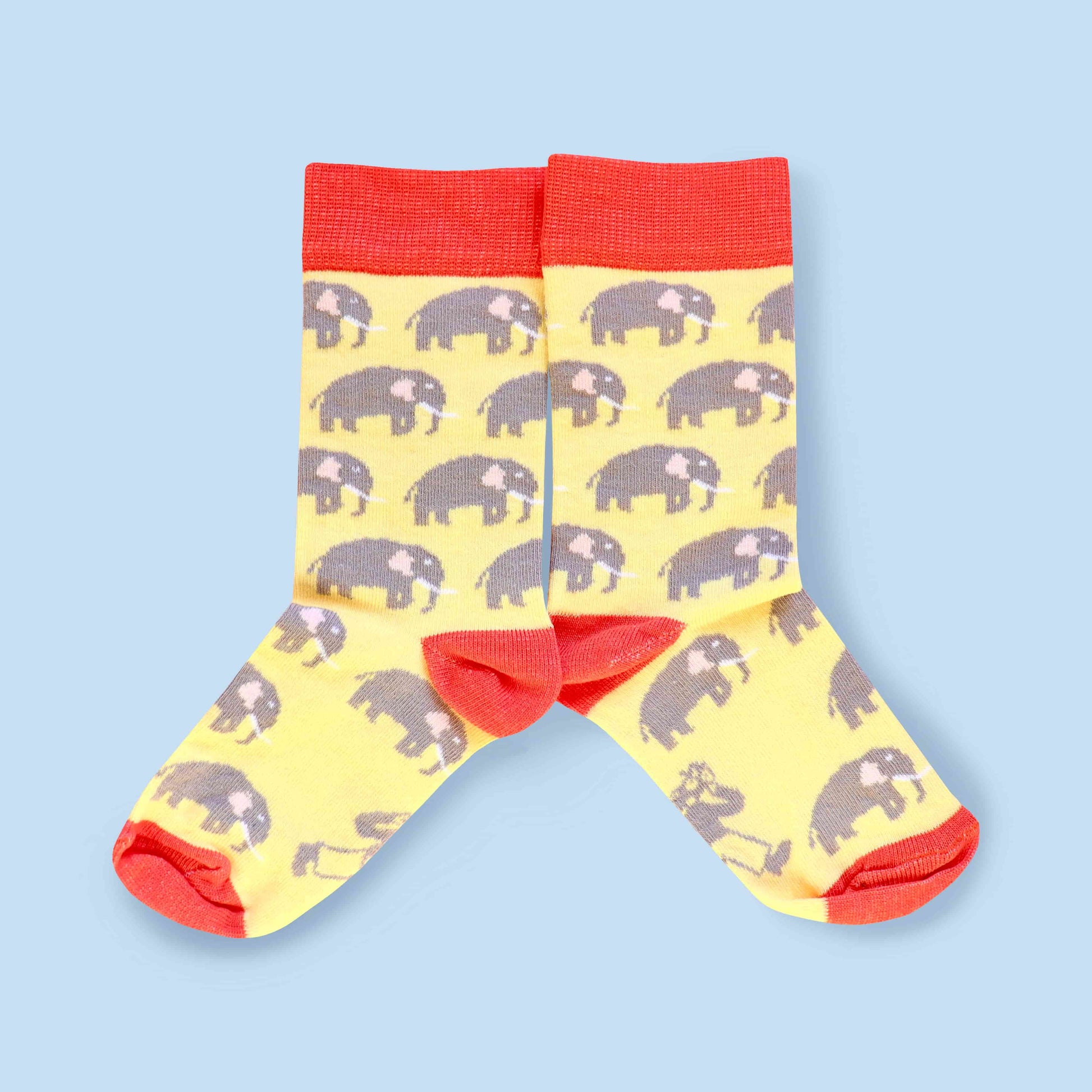 Kids’ elephant socks on blue background