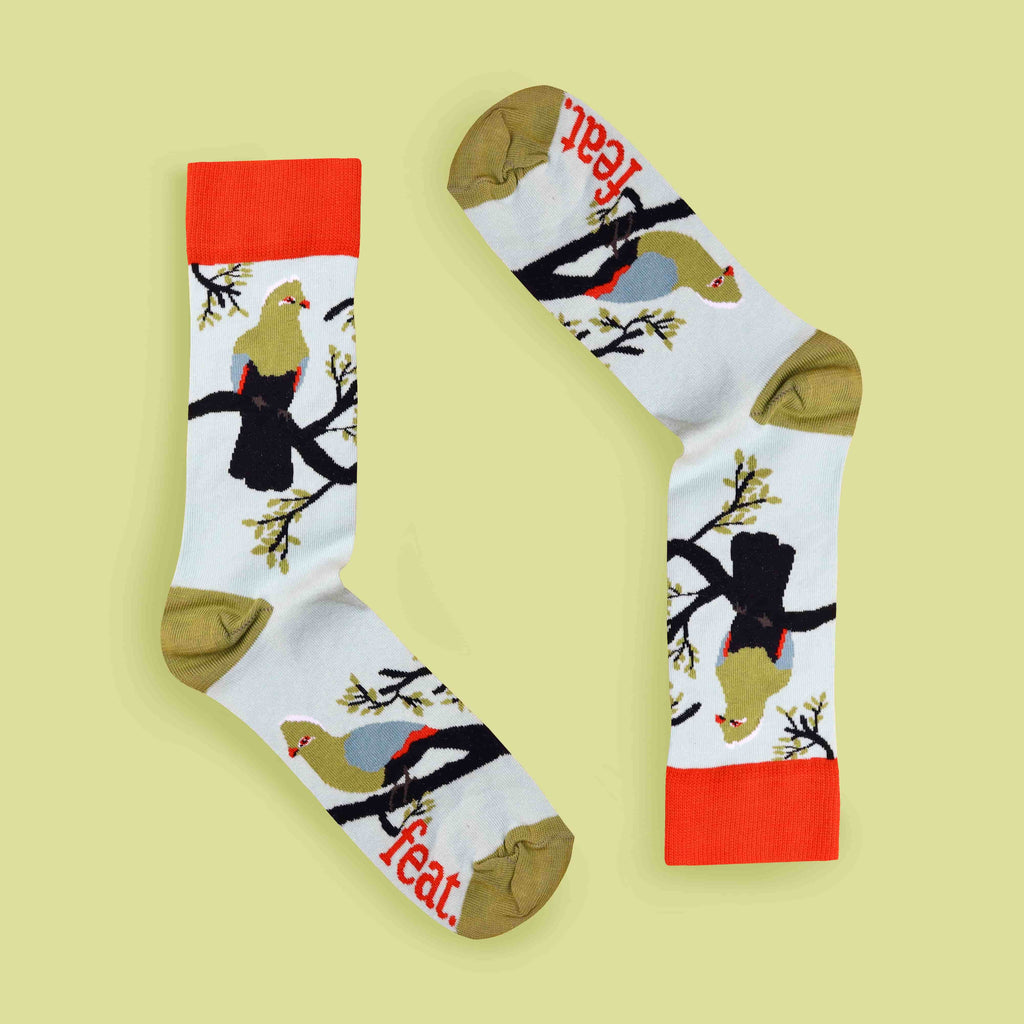 Men’s Knysna Loerie socks lime background mirrored
