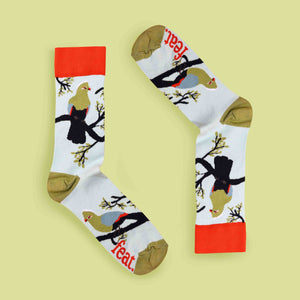 Men’s Knysna Loerie socks lime background mirrored