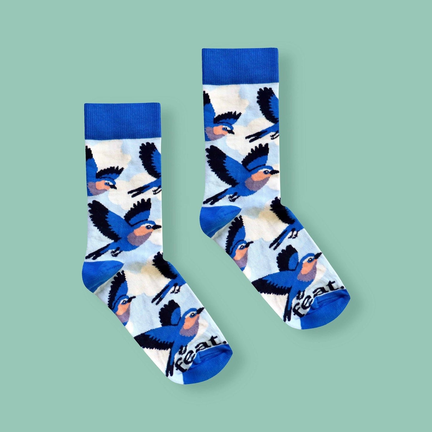 Men’s Lilac Breasted Roller socks | Bird Life of South Africa