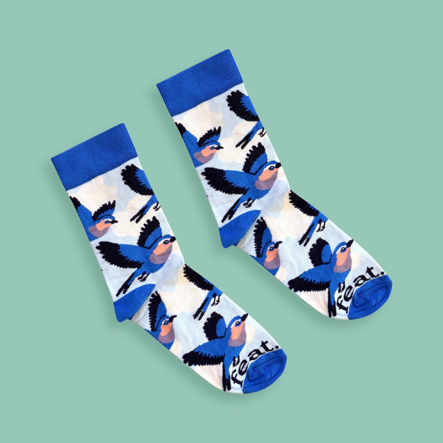 Men’s Lilac Breasted Roller socks | Bird Life of South Africa