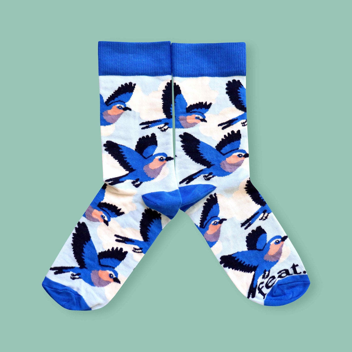 Men’s Lilac Breasted Roller socks | Bird Life of South Africa