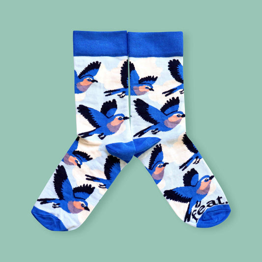 Men’s Lilac Breasted Roller socks | Bird Life of South Africa
