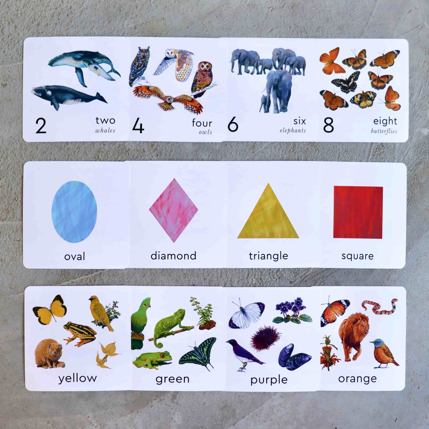 Little learners colours, numbers and shapes cards