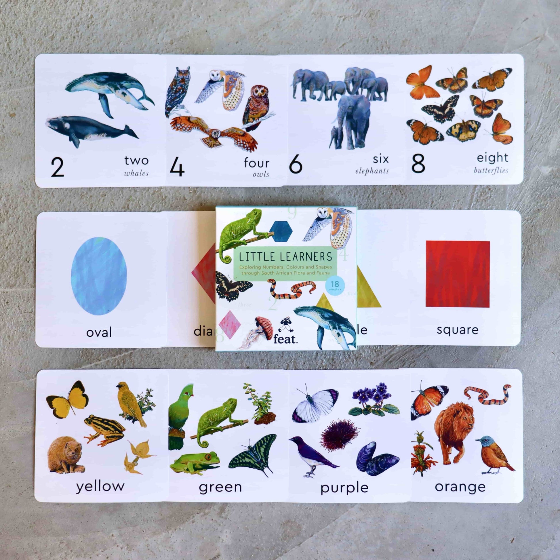 Little learners colours, numbers and shapes cards