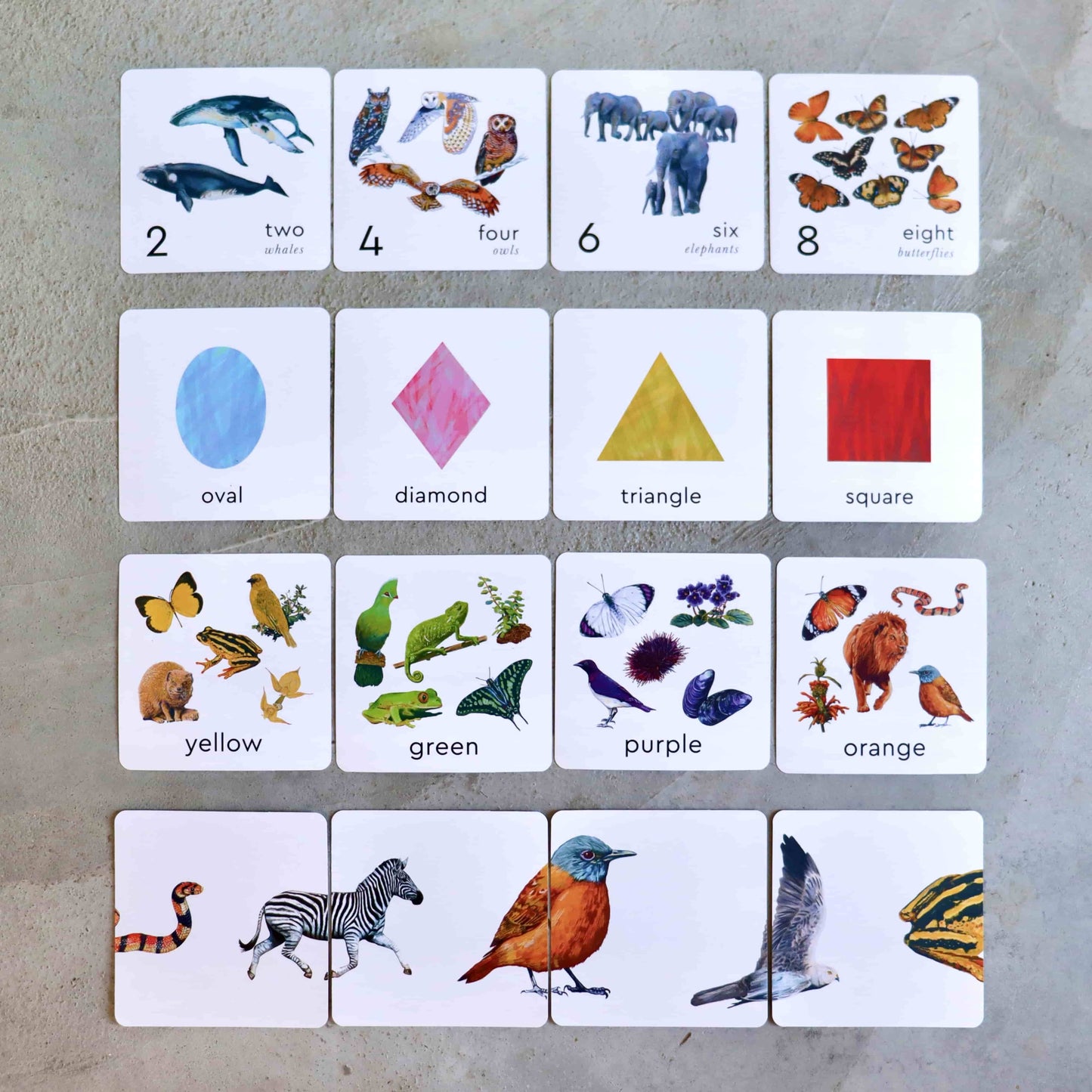 Little learners colours, numbers and shapes cards