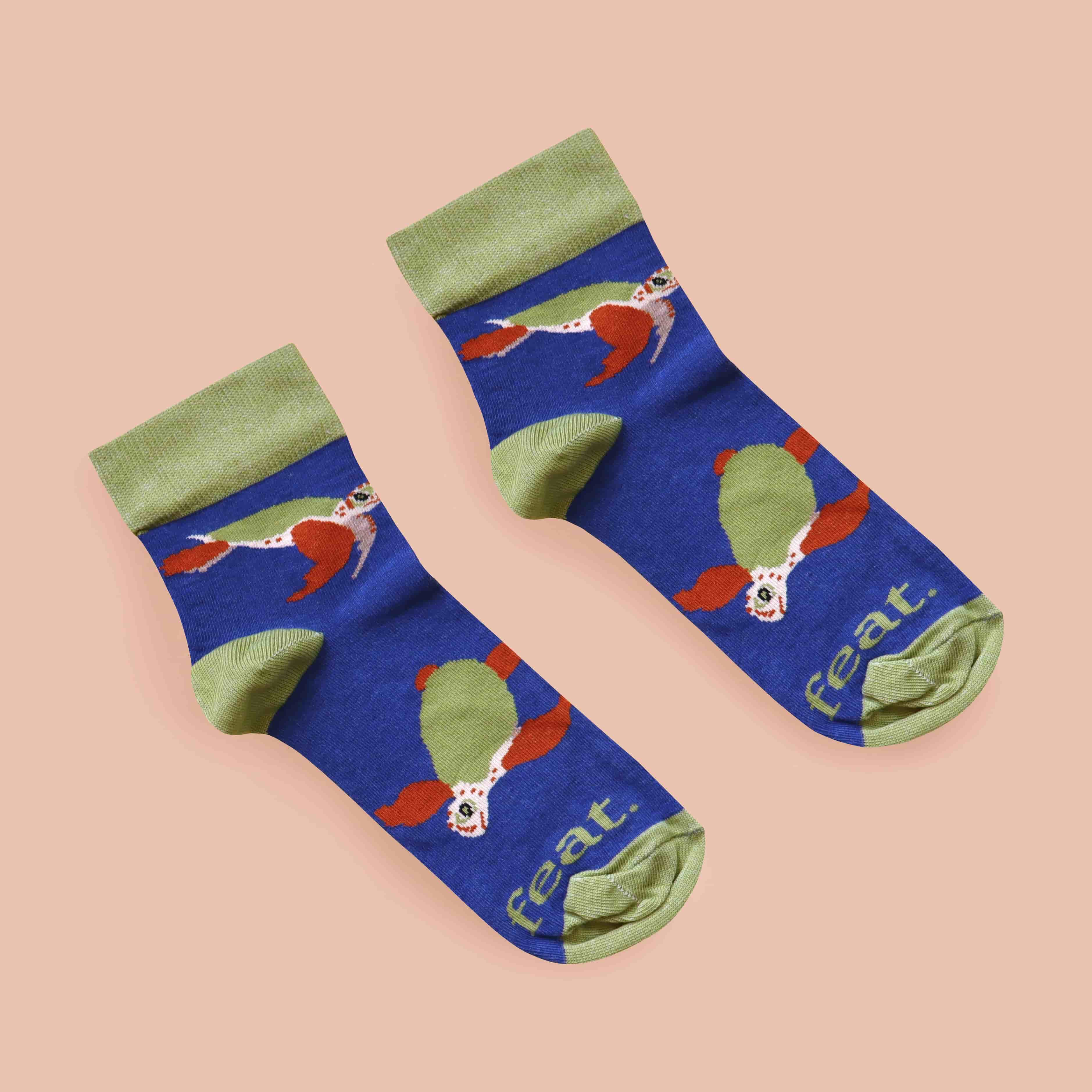 Loggerhead turtle socks with coral background diagonal layout