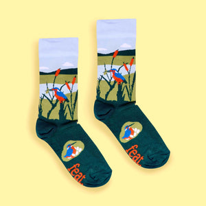 Kingfisher socks yellow background centred
