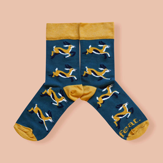 Mens springbok socks with pink background