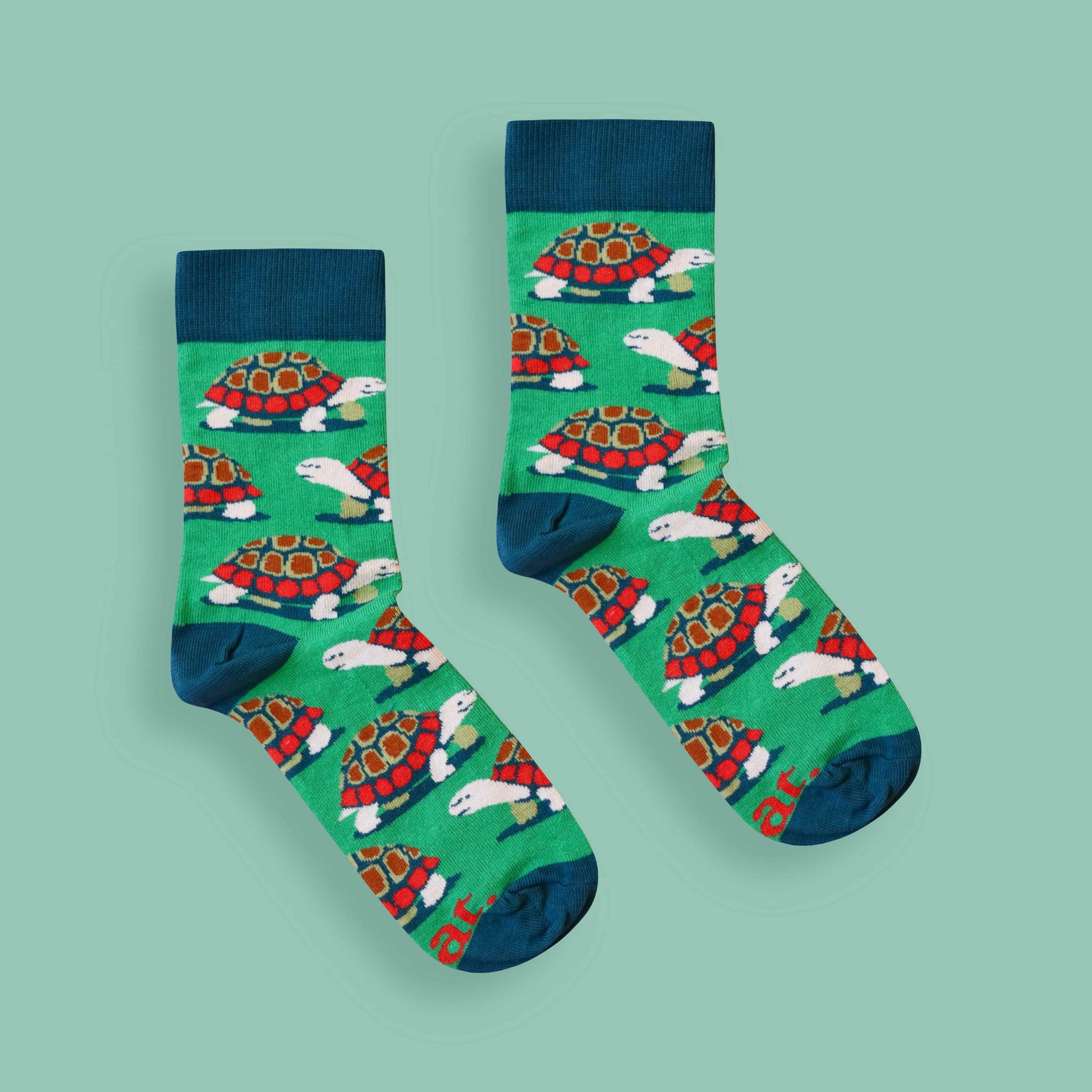 Tortoise socks green background centered