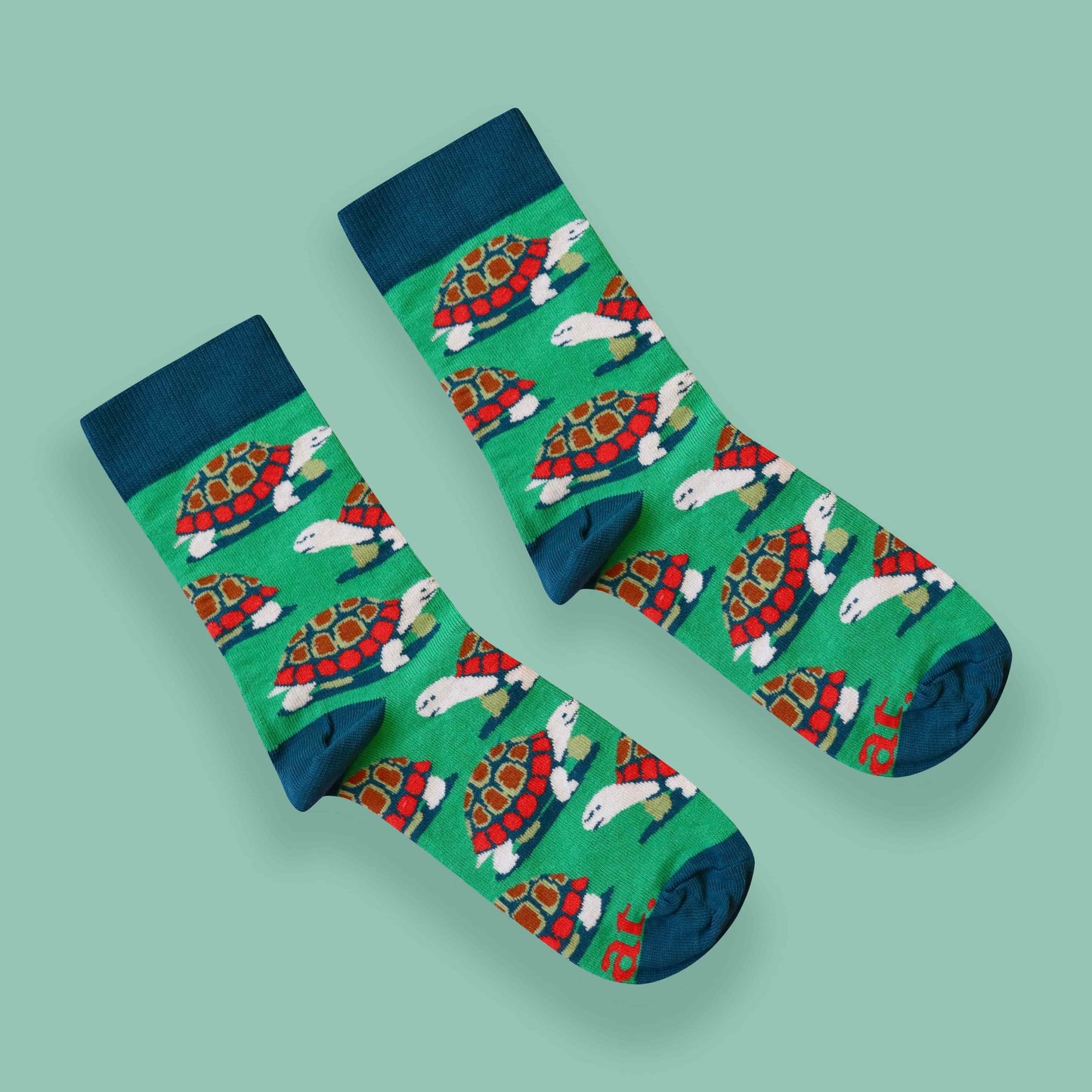 Tortoise socks green background diagonal