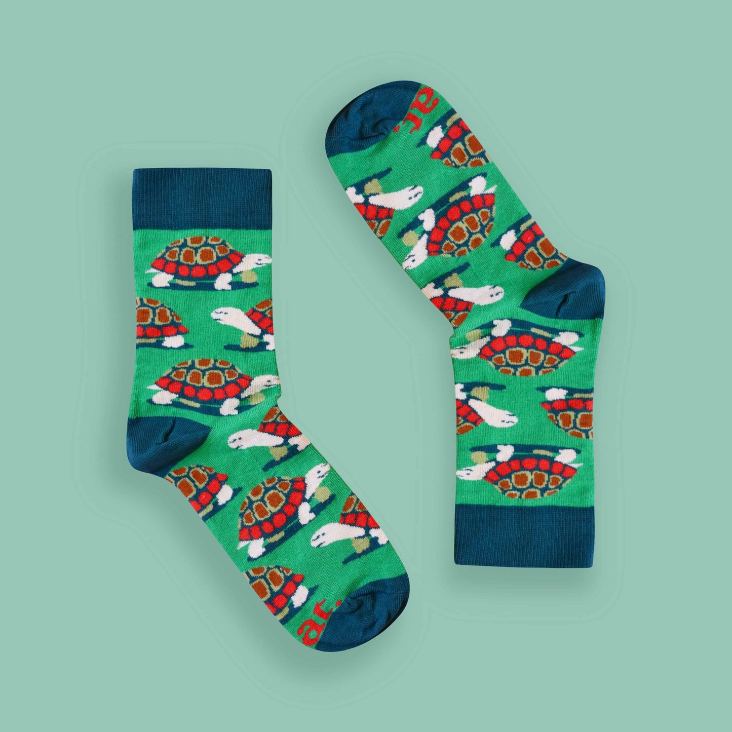 Tortoise socks green background inverted