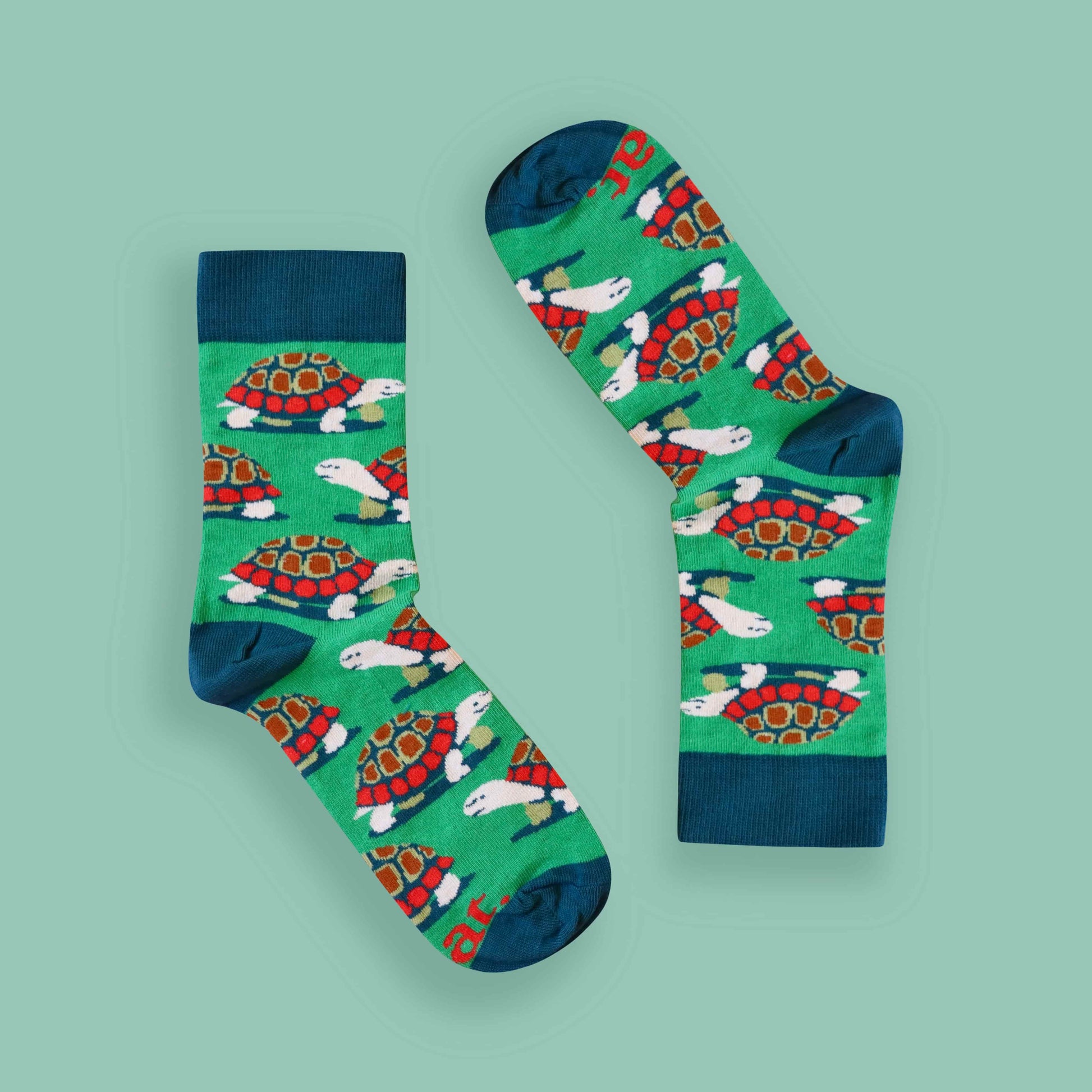 Tortoise socks green background inverted