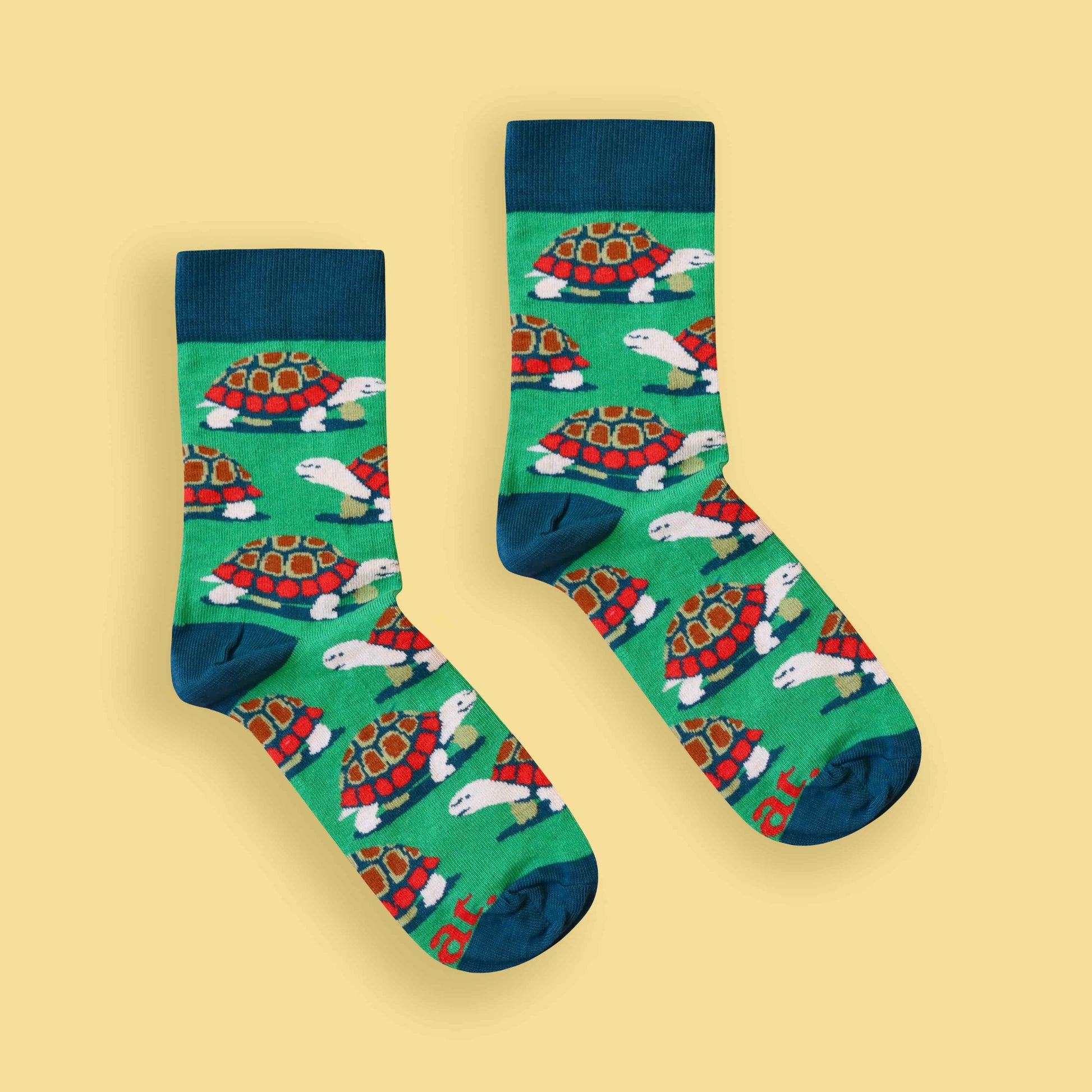 Tortoise socks yellow background centered