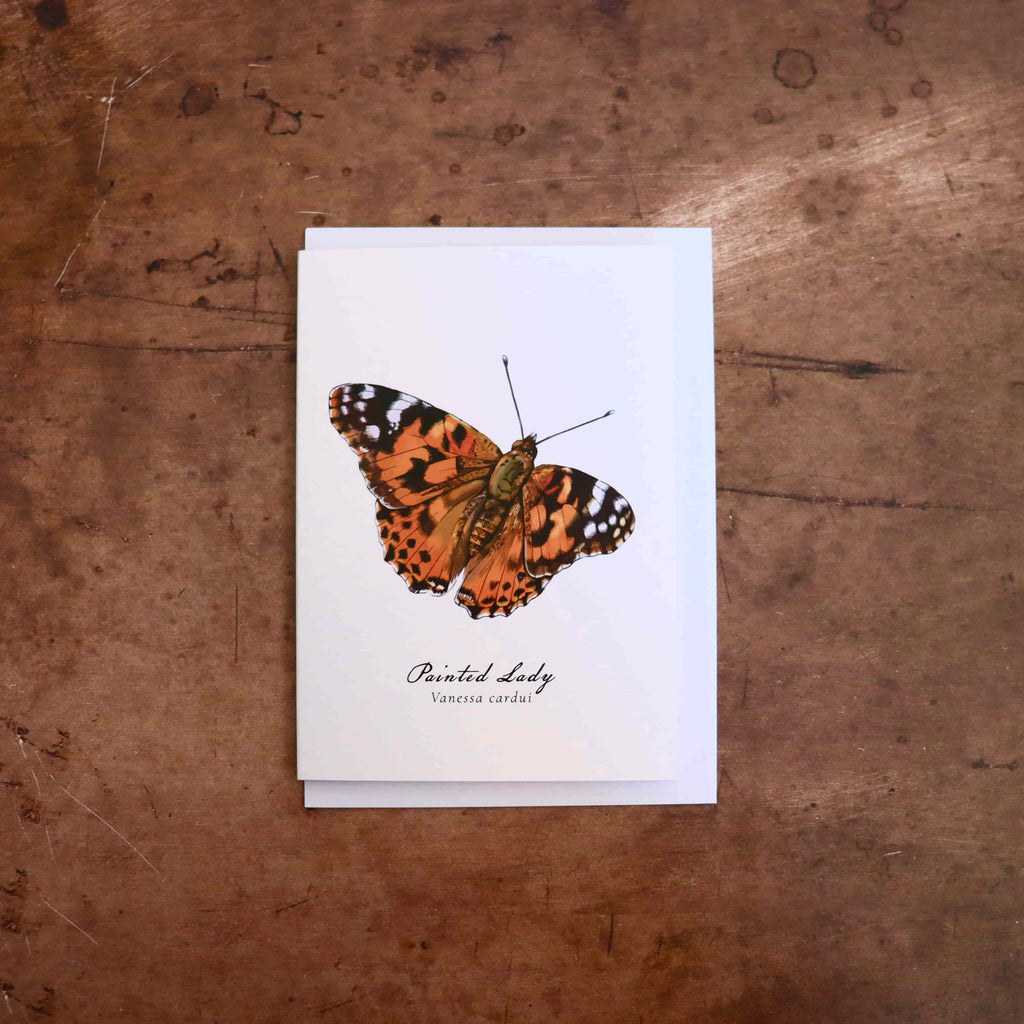 Painted Lady Butterfly Greeting Card